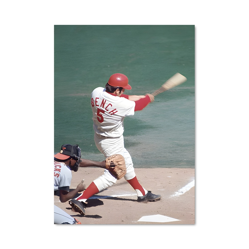 Poster Johnny de bench